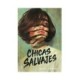 CHICAS SALVAJES