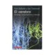 CEREBRO EL