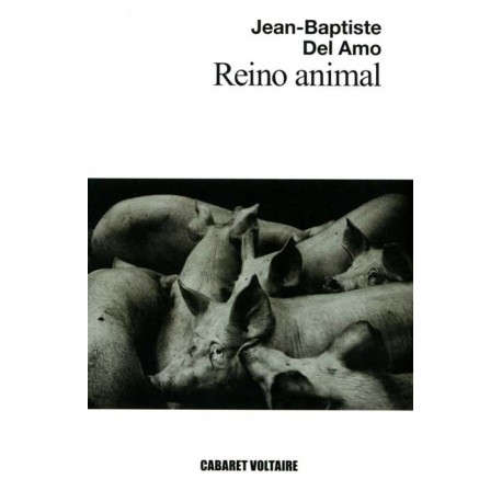 REINO ANIMAL