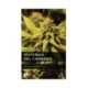 HISTORIAS DEL CANNABIS