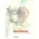 HENDIDURAS. AFORISMOS SOBRE EL ARTE DE LA INDIVIDUACION.