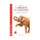 GRILLETE DEL ELEFANTE, EL