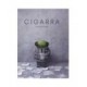 CIGARRA