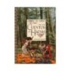LIBRO DE ORO DE LOS CUENTOS DE HADAS EL