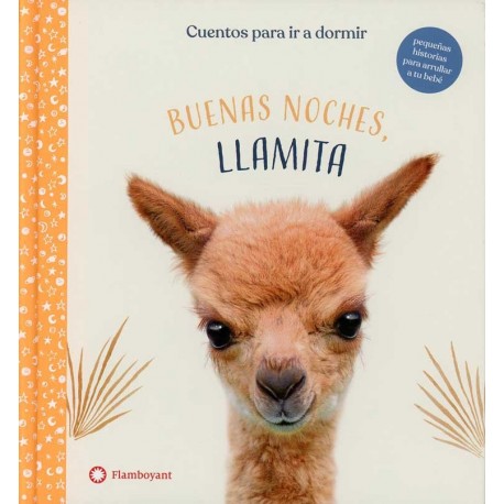 BUENAS NOCHES LLAMITA