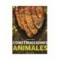 CONSTRUCCIONES ANIMALES