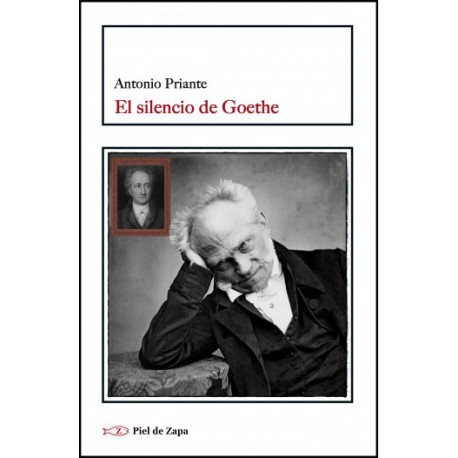 SILENCIO DE GOETHE EL