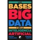 LAS BASES DE BIG DATA Y DE LA INTELIGENCIA ARTIFICIAL