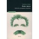 HOMO NATURA. NIETZSCHE, ANTROPOLOGÍA Y BIOPOLÍTICA