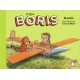 GATO BORIS, EL: EL AVION