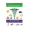 MANUAL DE CURACION NATURISTA