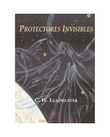 PROTECTORES INVISIBLES